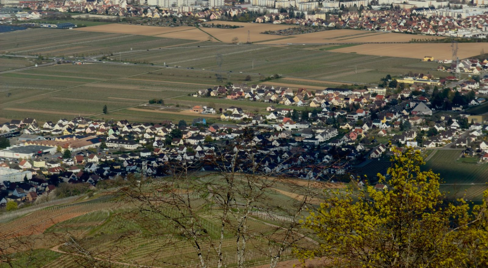 Photo aérienne d'un village alsacien typique et de ses vignobles en terrasse, illustrant le décor authentique des mots alsaciens du terroir.