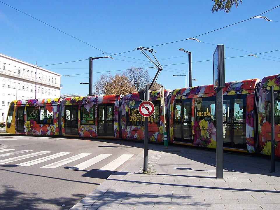 Tram de Mulhouse décoré de motifs floraux pour Folie Flore 2026, à proximité d’un passage piéton sous un ciel bleu.